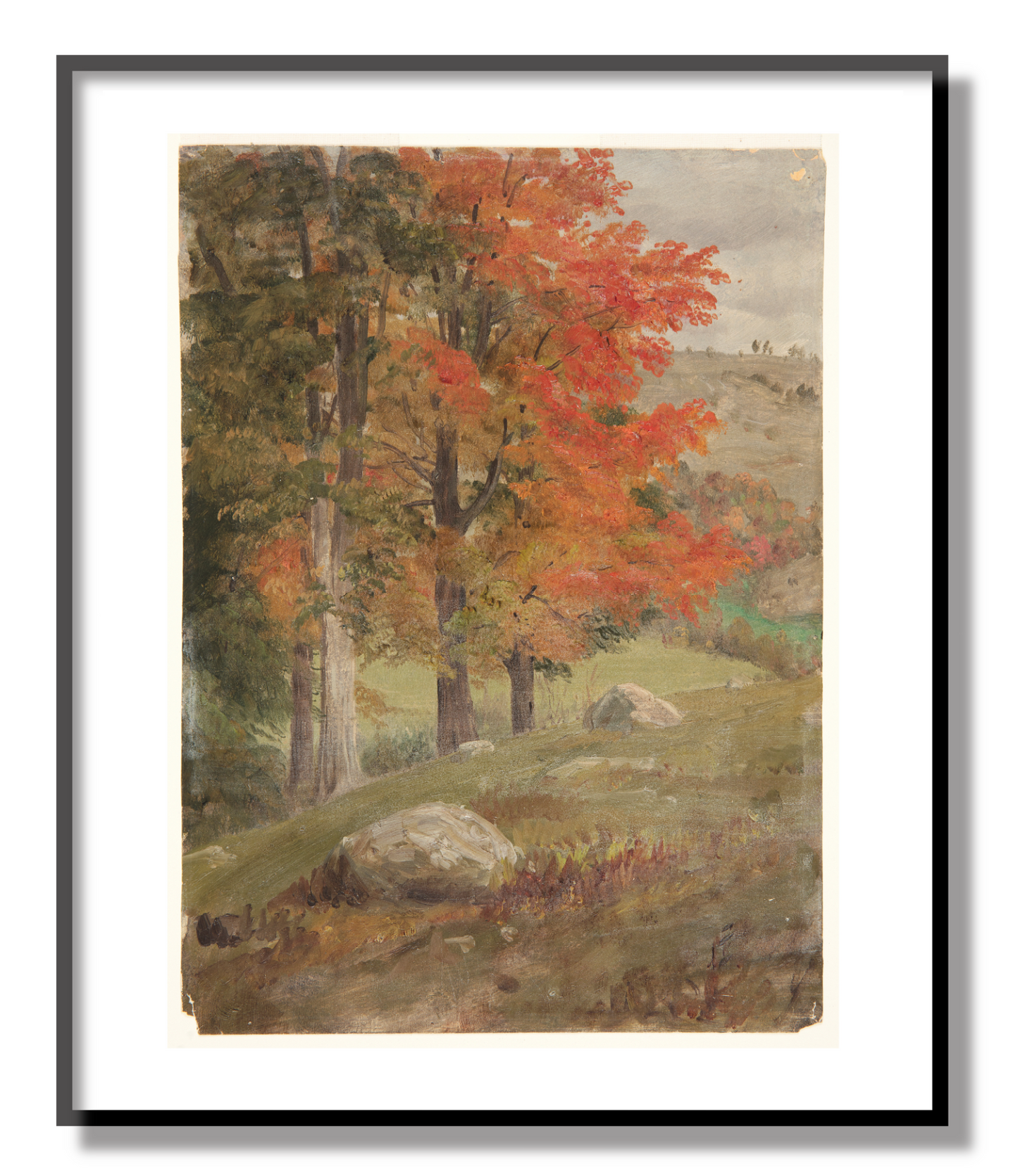 Woods in Autumn Giclée Print