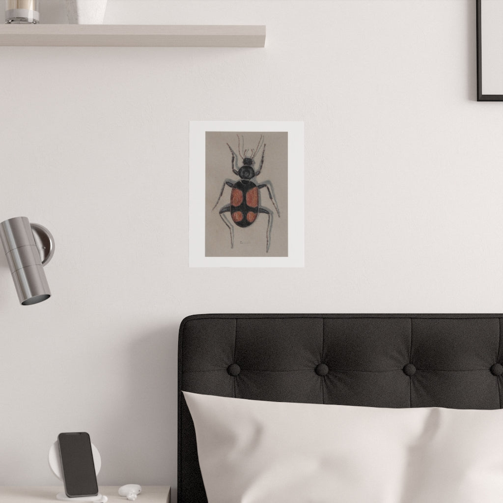 Red Cross Beetle Colored Pencil Drawing Print