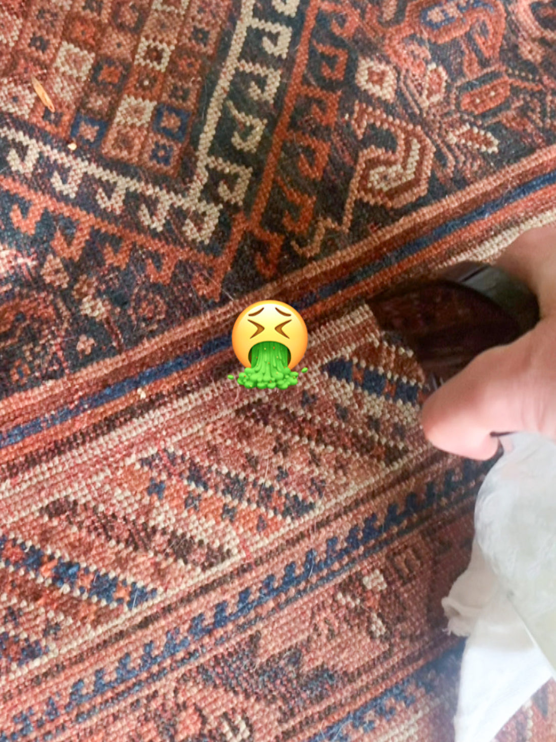 How to Take Care of Your Vintage Rugs - Level 2 Maintenance, Spot Cleaning