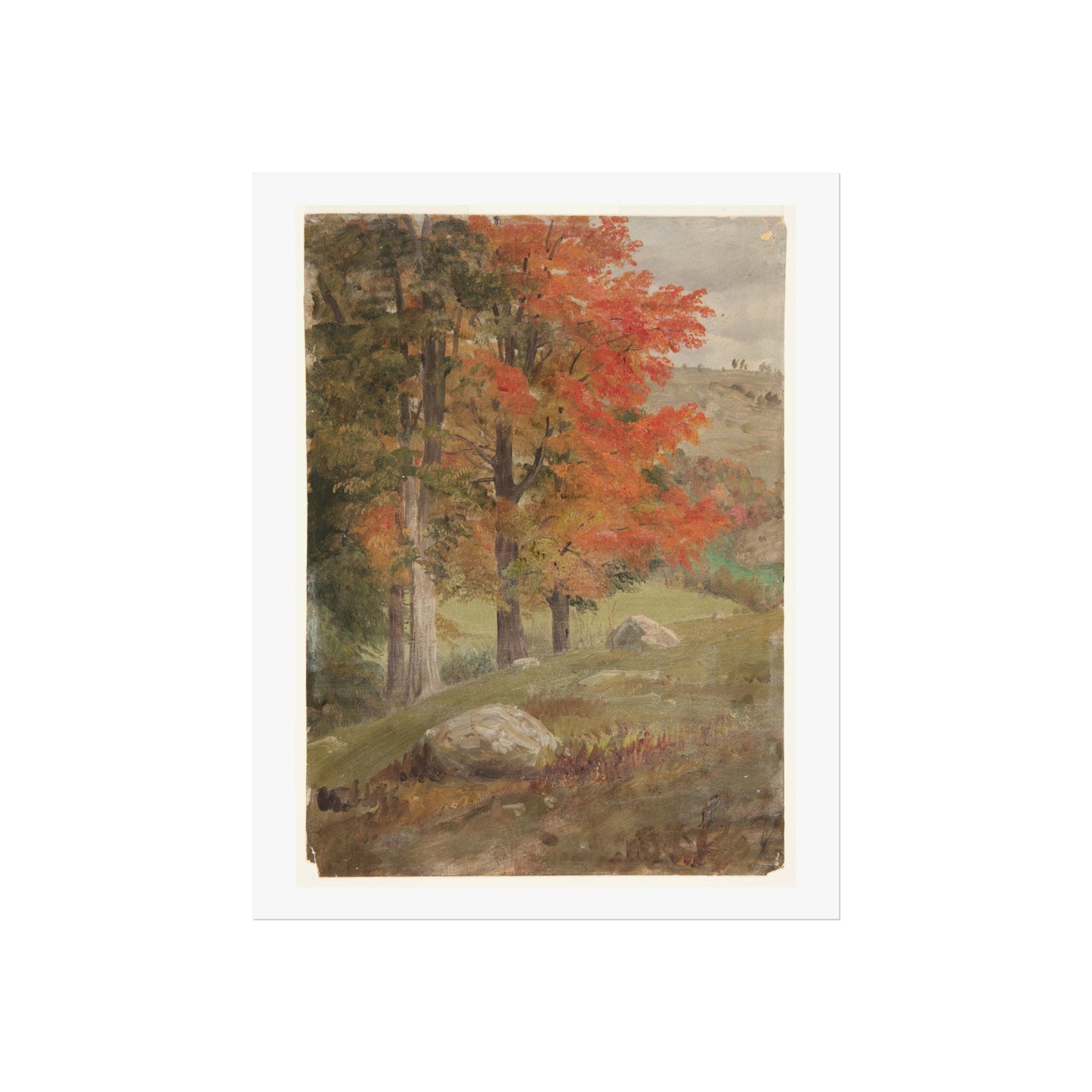 Woods in Autumn Giclée Print