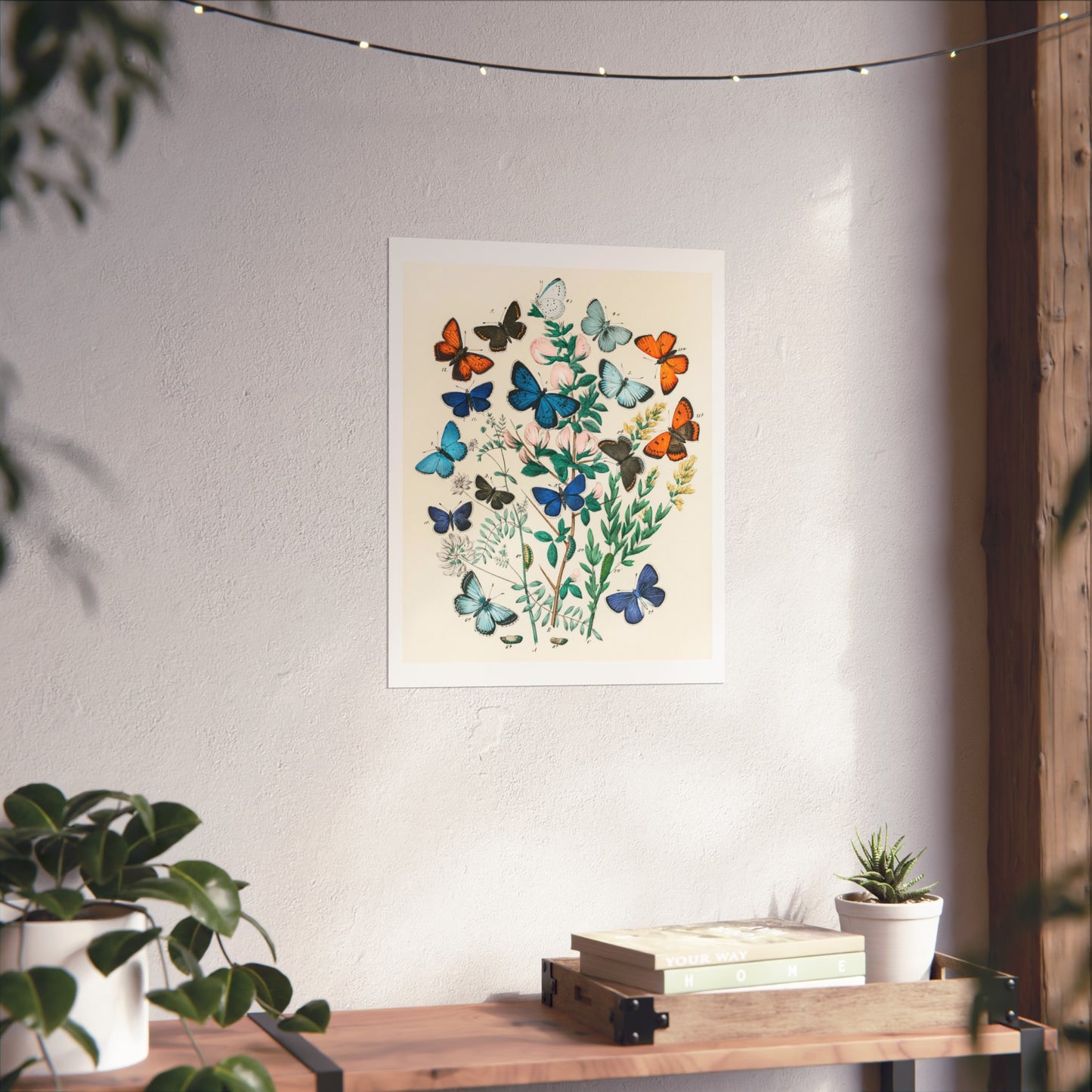 Butterflies and Moths Giclée Print