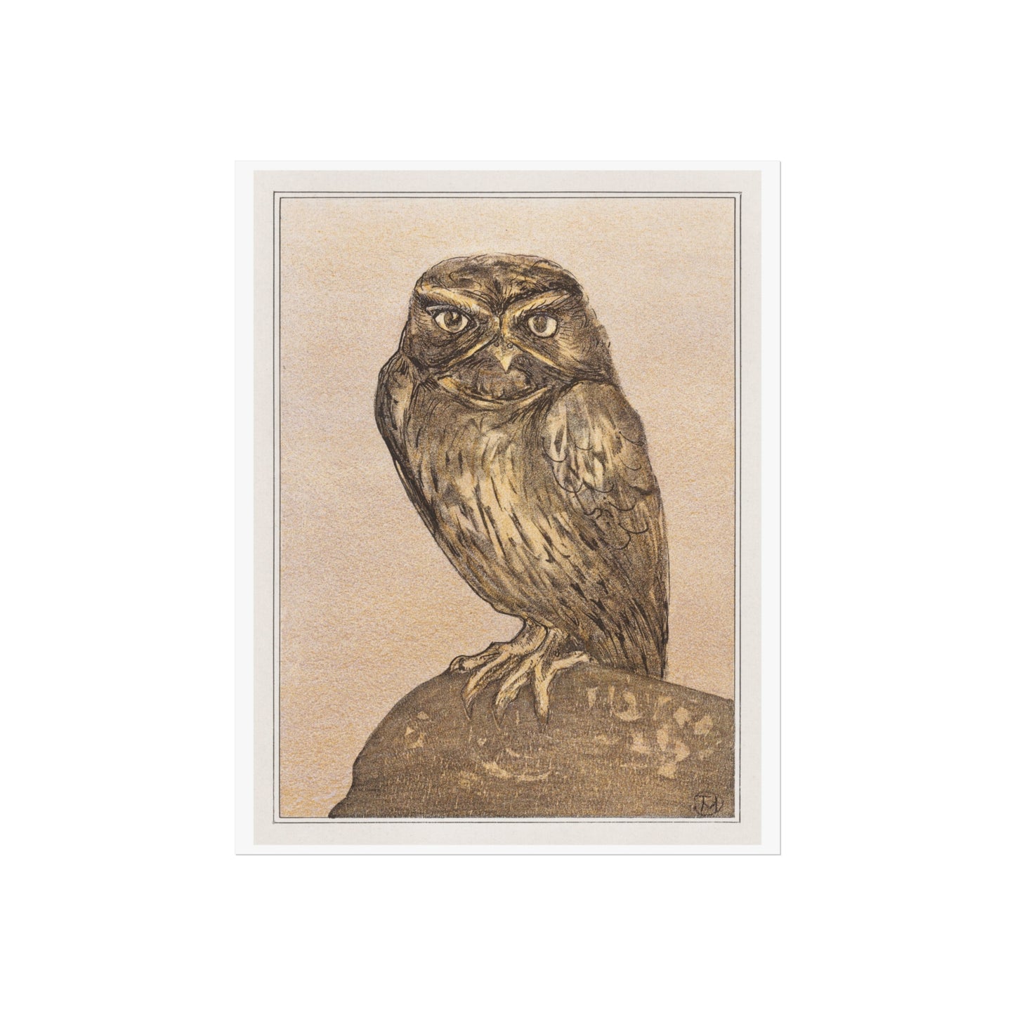 Little Owl on Rock Giclée Print