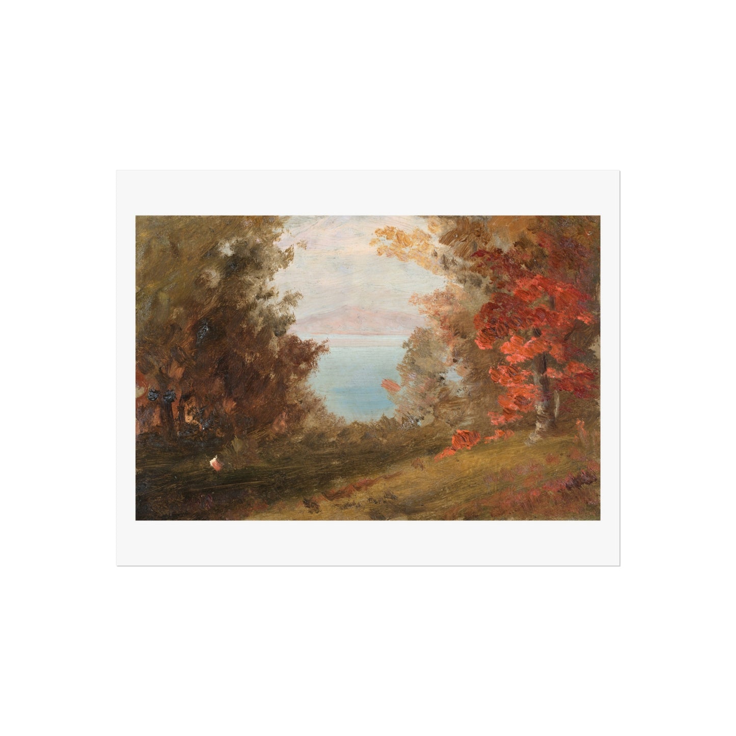 Woodland Scene in Autumn Giclée Print