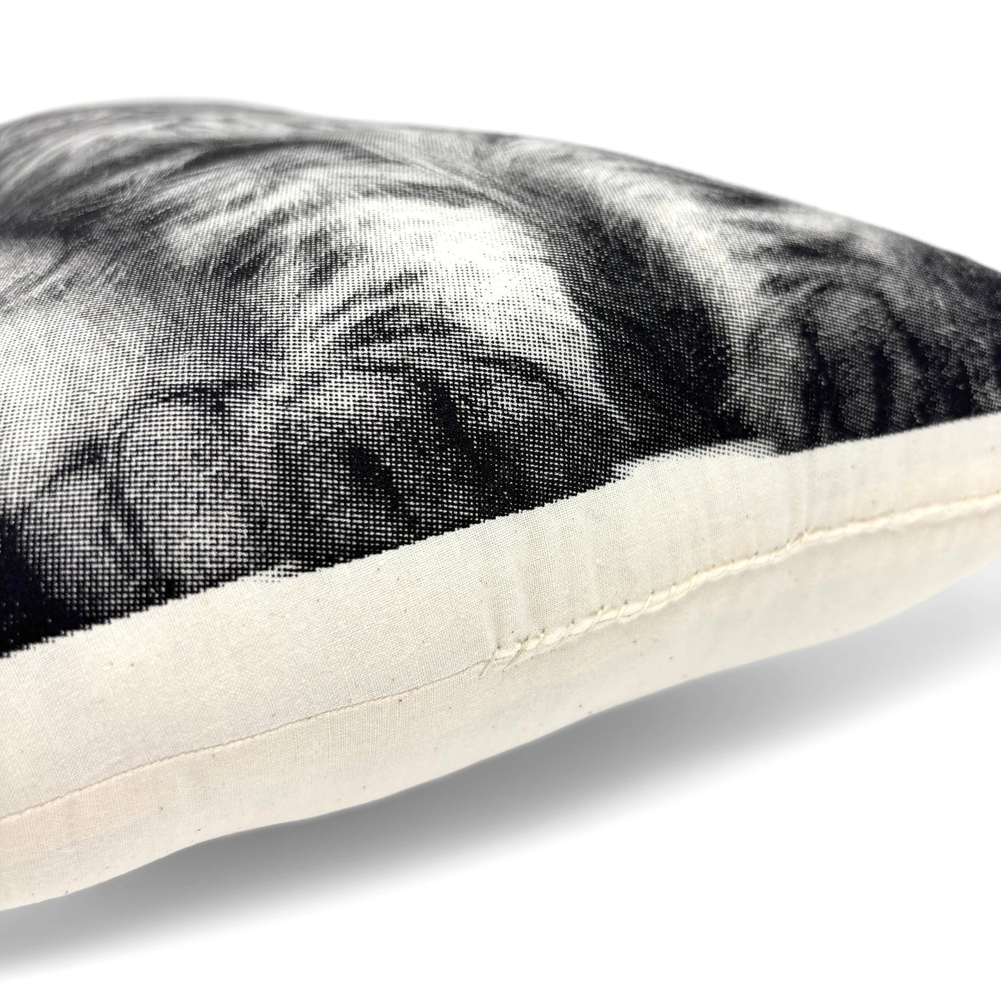 Longhair Cat Pillow