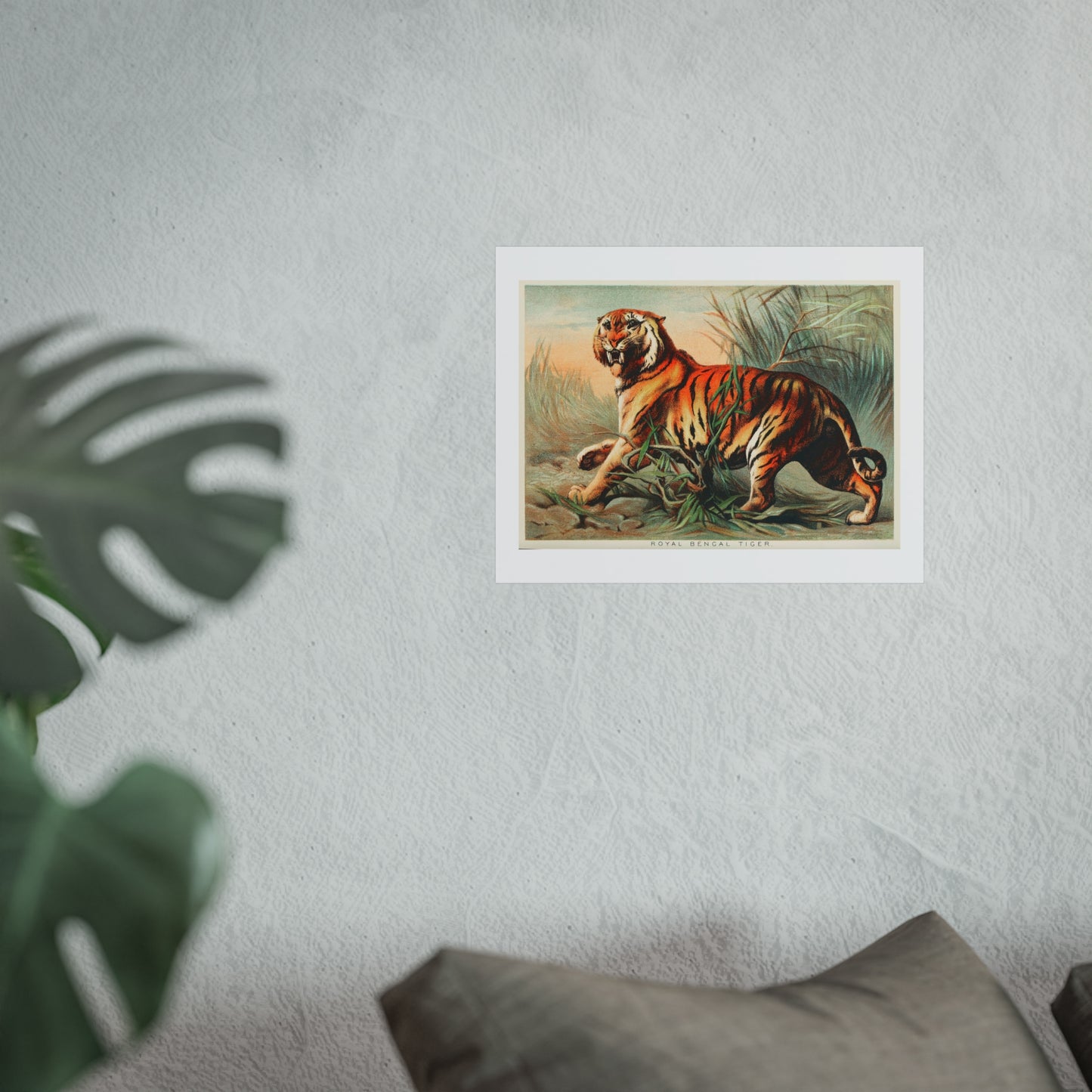 Royal Bengal Tiger Giclée Print