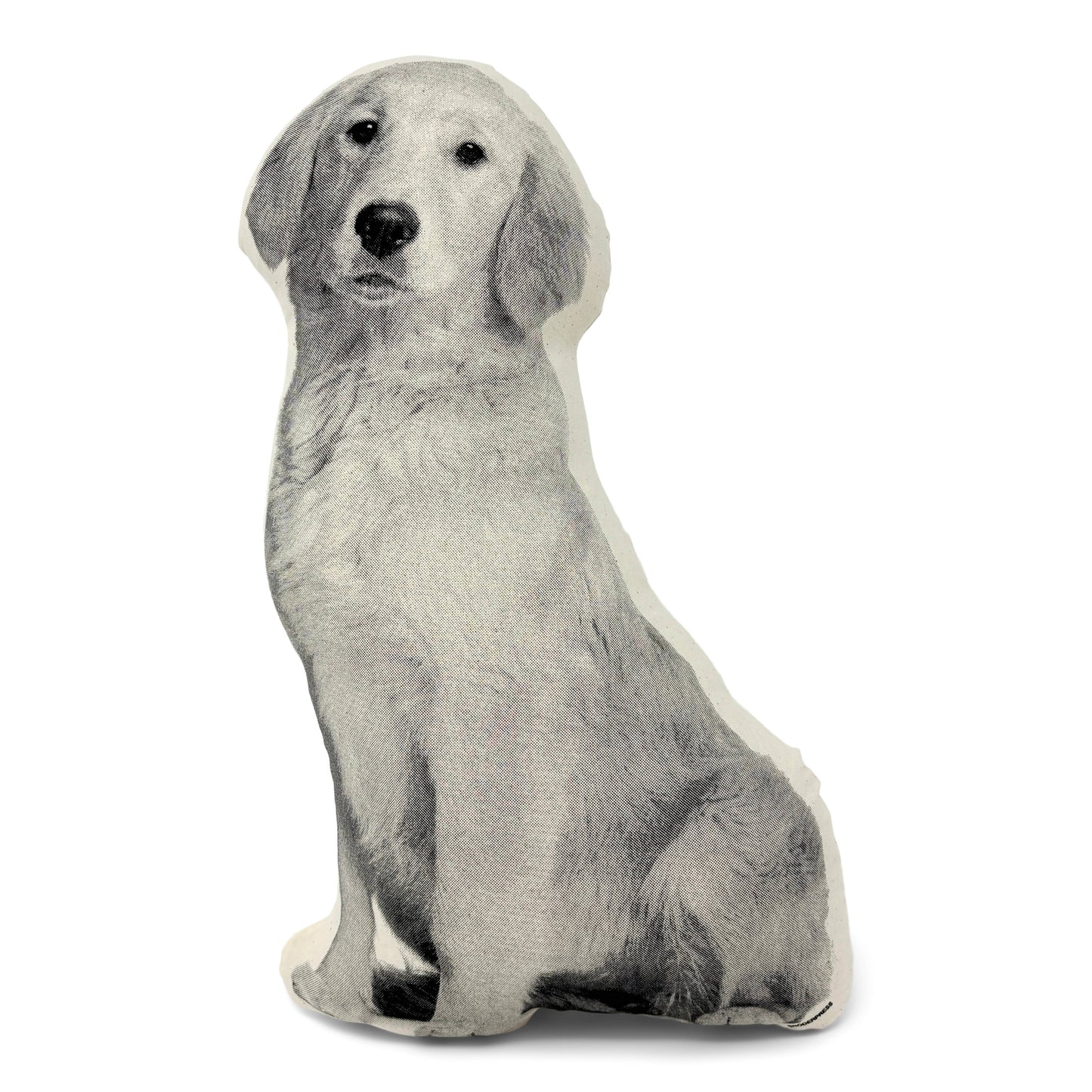 Golden Retriever Pillow