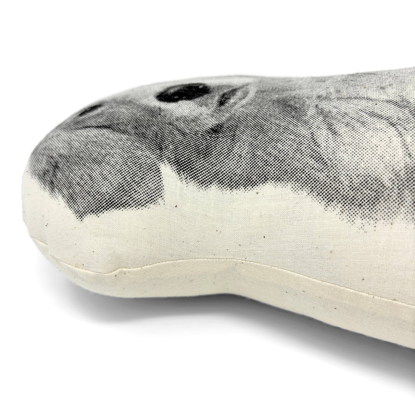 Golden Retriever Pillow