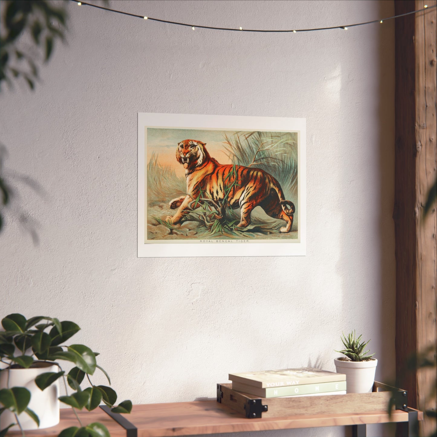 Royal Bengal Tiger Giclée Print