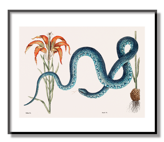 Wampum Snake Giclée Print