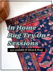 In Home Rug Try On Session (available in Western Washington State)