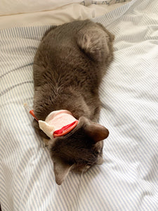 Bobbi Cat Sticker