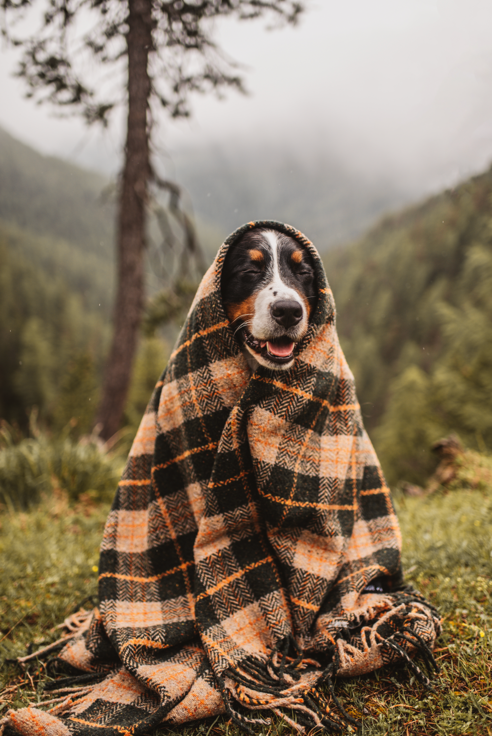 Plaid Hunter Throw Blanket