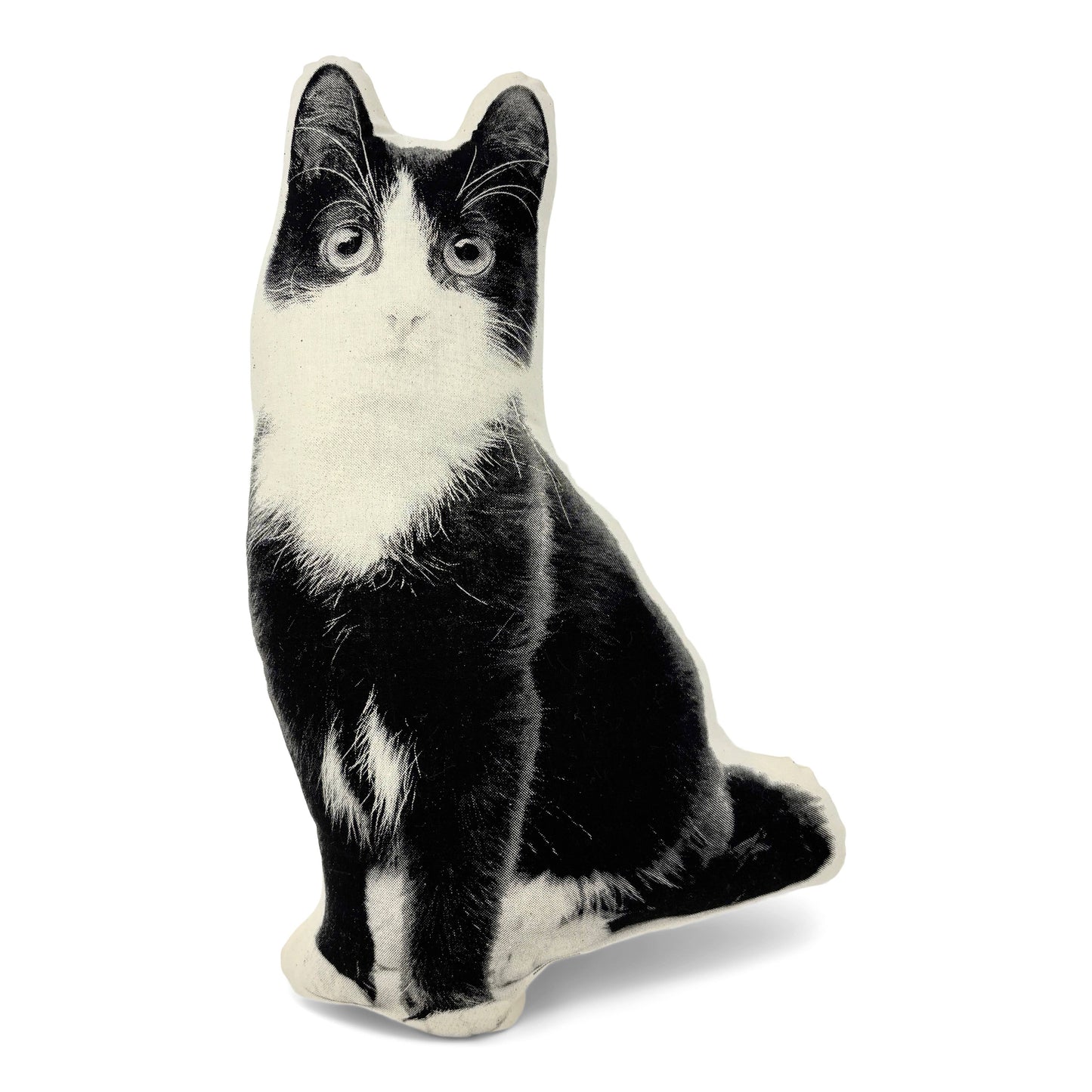 Black and White Kitten Pillow