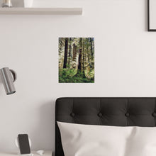 Load image into Gallery viewer, Into the Trees Photography Print
