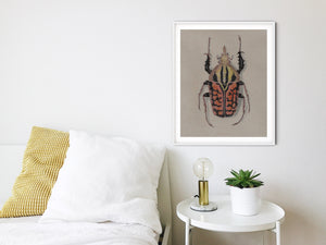 Goliath Beetle Colored Pencil Drawing Print