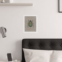 Load image into Gallery viewer, Junebug Beetle Colored Pencil Drawing Print
