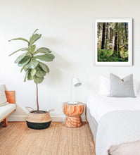Load image into Gallery viewer, Into the Trees Photography Print
