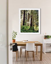 Load image into Gallery viewer, Into the Trees Photography Print

