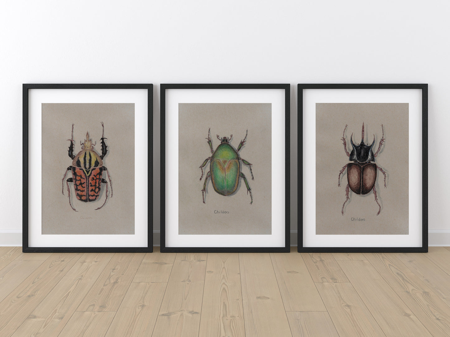 Goliath Beetle Colored Pencil Drawing Print