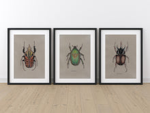 Load image into Gallery viewer, Goliath Beetle Colored Pencil Drawing Print
