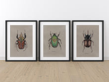 Load image into Gallery viewer, Rhinoceros Beetle Colored Pencil Drawing Print
