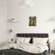 Load image into Gallery viewer, Into the Trees Photography Print
