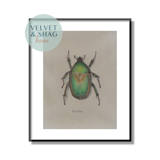 Junebug Beetle Colored Pencil Drawing Print