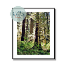 Load image into Gallery viewer, Into the Trees Photography Print

